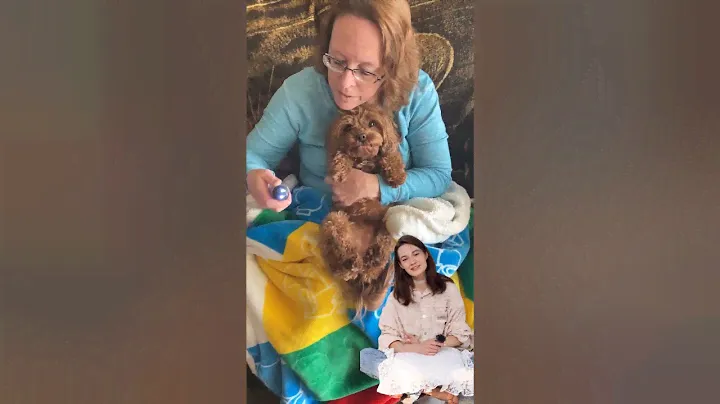 Review: Powerful and Quiet Dog Nail Grinder for Painless Pet Grooming!