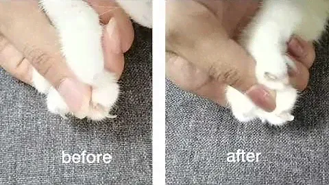 Oneisall Pet Nail Grinder with Light
