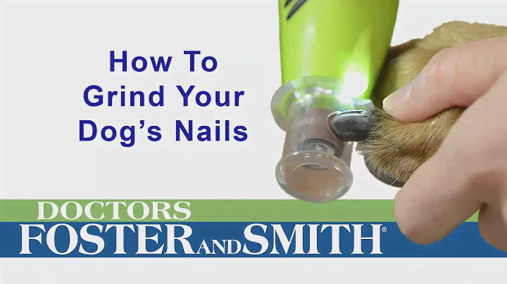 How to Grind Your Dog's Nails (DrsFosterSmith)