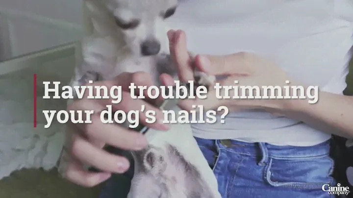 How To Use The FURminator Nail Grinder