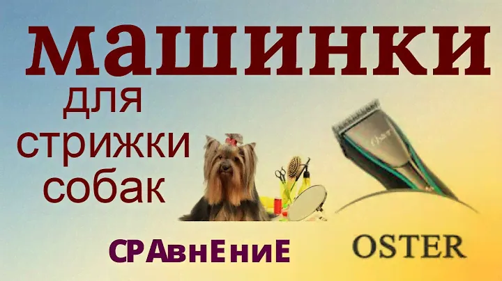 ✂Oster A6 и Classic 76 #машинкадлястрижки Сравнить!✍